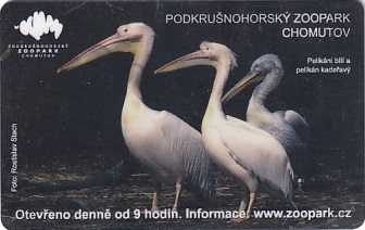 Communication of the city: Chomutov (Czechy) - ticket abverse